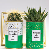 C'est pas Versailles ici - Cactus