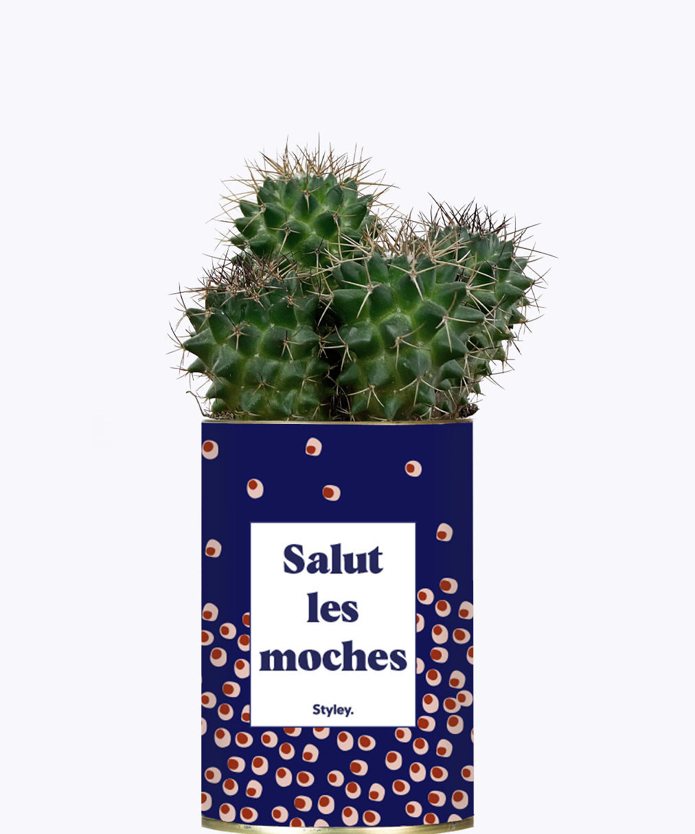 Salut les moches - Cactus
