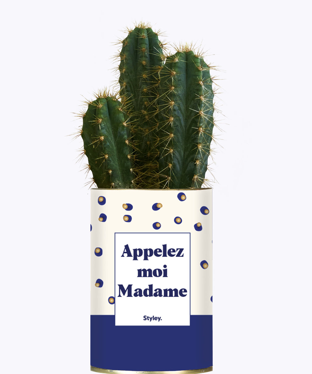 Appelez-moi madame - Cactus