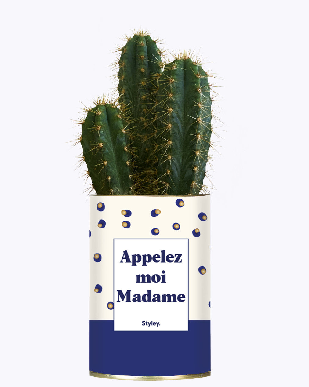 Appelez-moi madame - Cactus