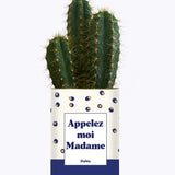 Appelez-moi madame - Cactus