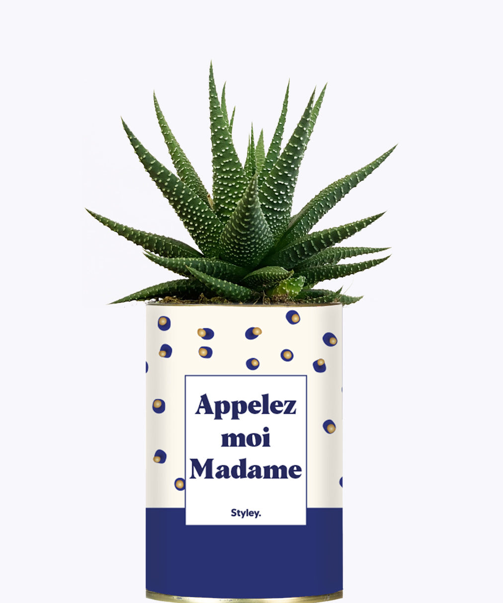 Appelez-moi madame - Cactus