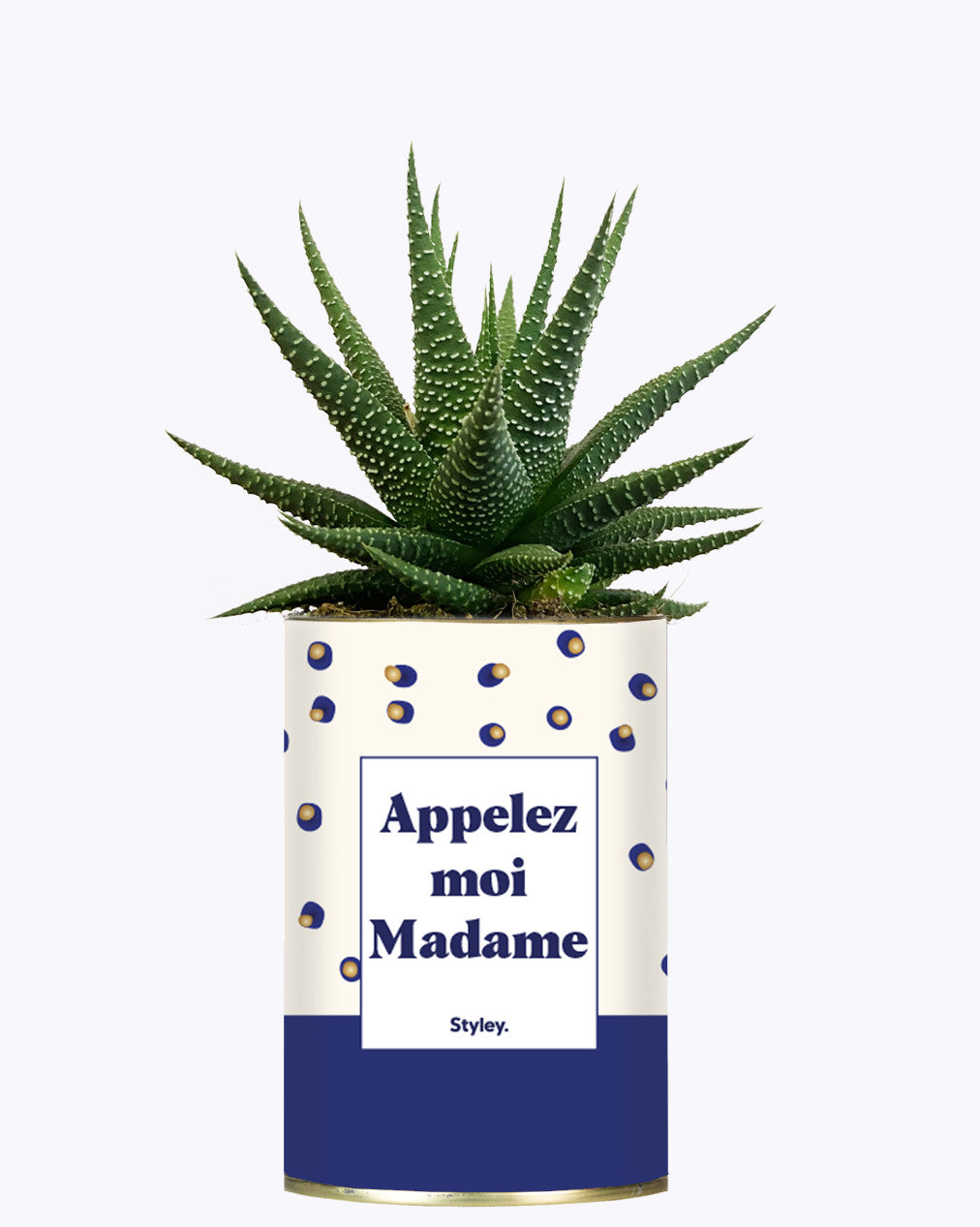 Appelez-moi madame - Cactus