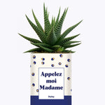 Appelez-moi madame - Cactus