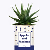 Appelez-moi madame - Cactus