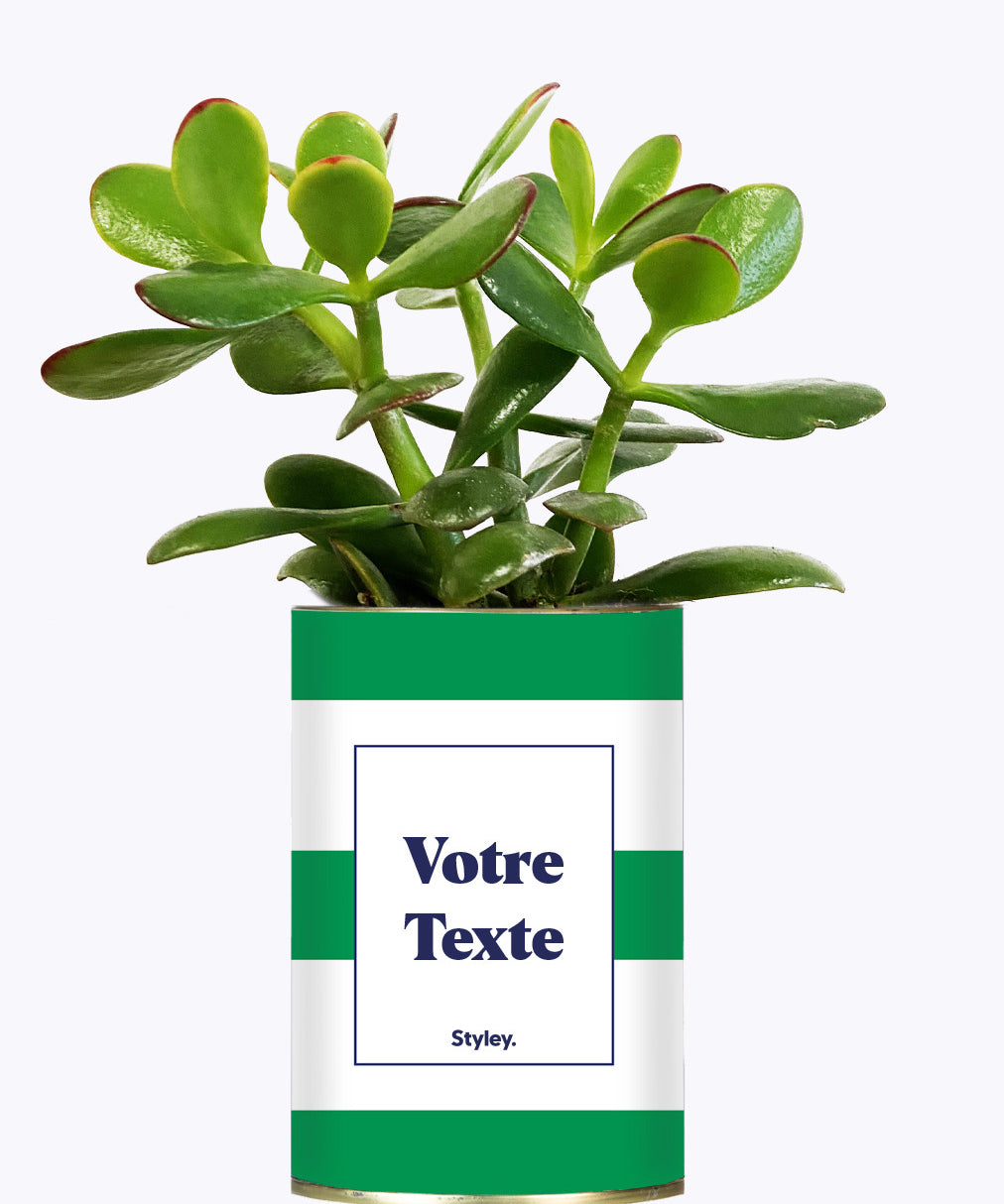 Cactus Mojito - Personnalisable