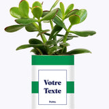 Cactus Mojito - Personnalisable