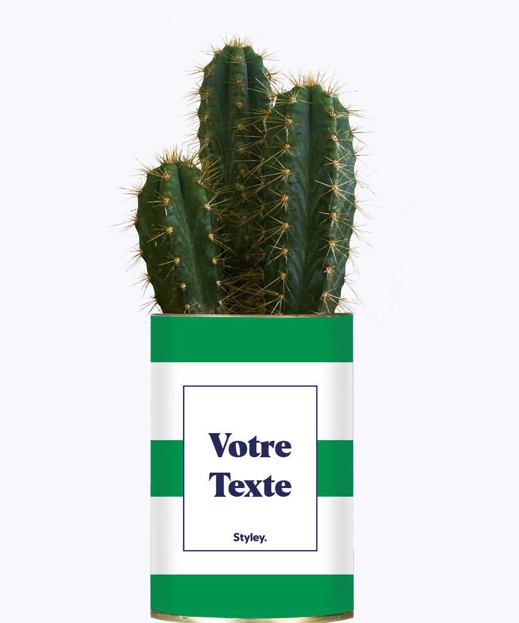 Cactus Mojito - Personnalisable