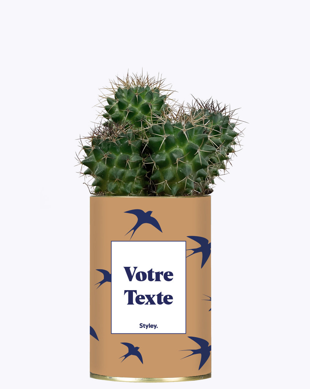 Cactus Hirondelles - Personnalisable