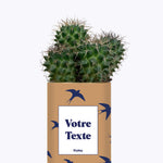 Cactus Hirondelles - Personnalisable
