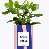 Cactus Parme - Personnalisable