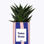 Cactus Parme - Personnalisable