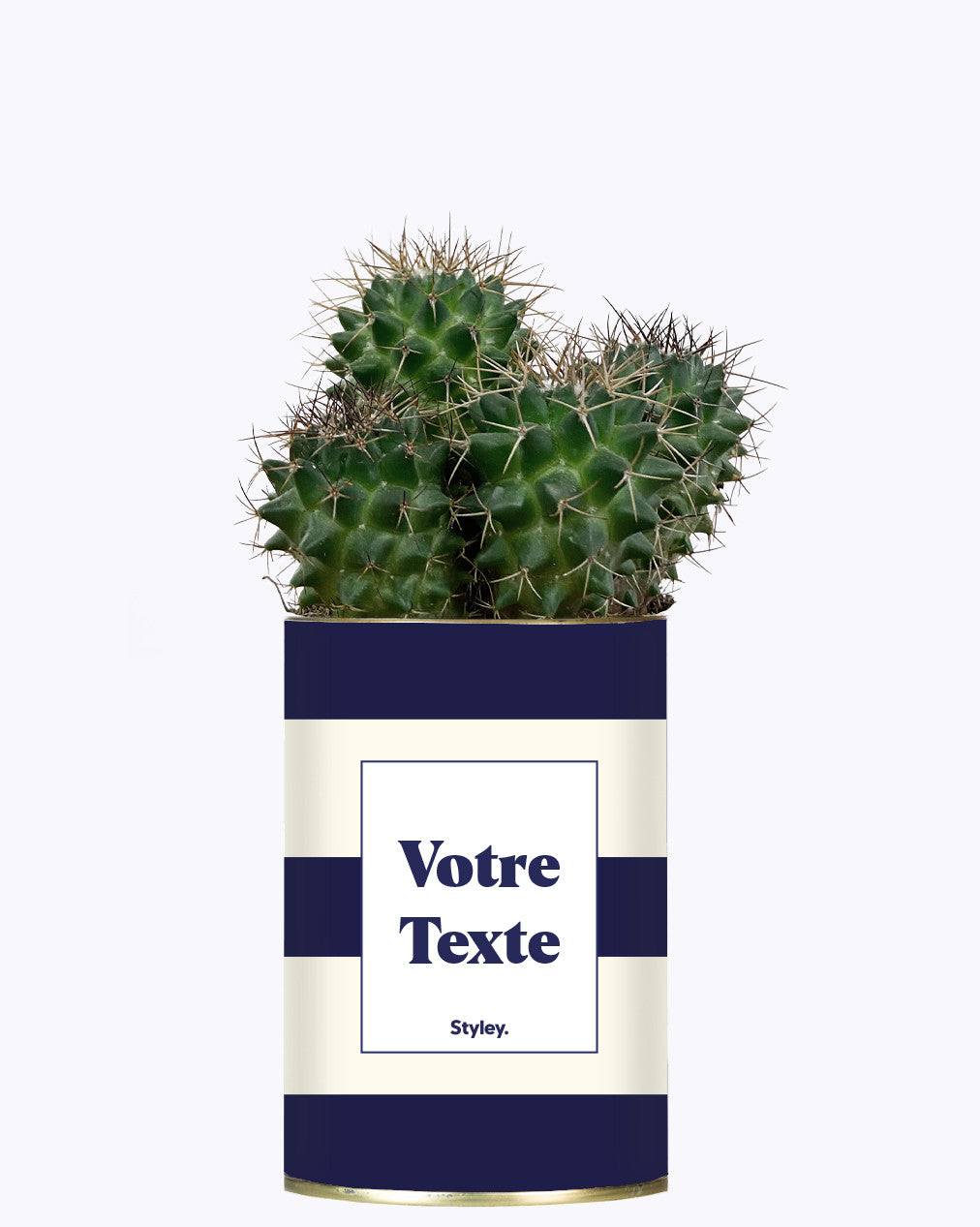 Cactus Cannes - Personnalisable