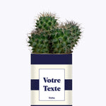 Cactus Cannes - Personnalisable