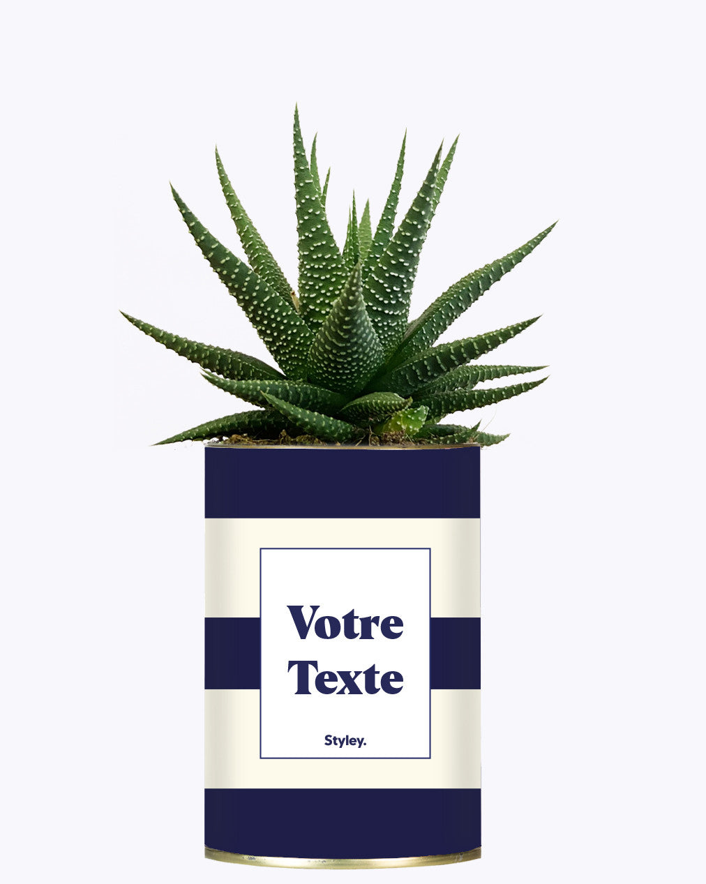 Cactus Cannes - Personnalisable