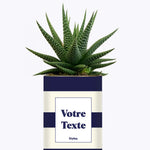 Cactus Cannes - Personnalisable