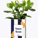 Cactus Côme - Personnalisable