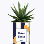 Cactus Côme - Personnalisable