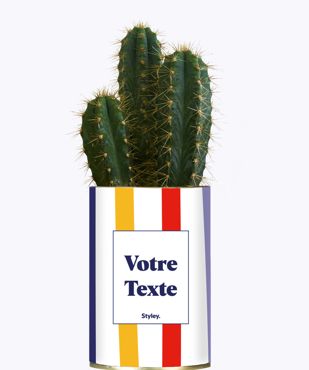 Cactus Venise - Personnalisable