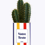 Cactus Venise - Personnalisable