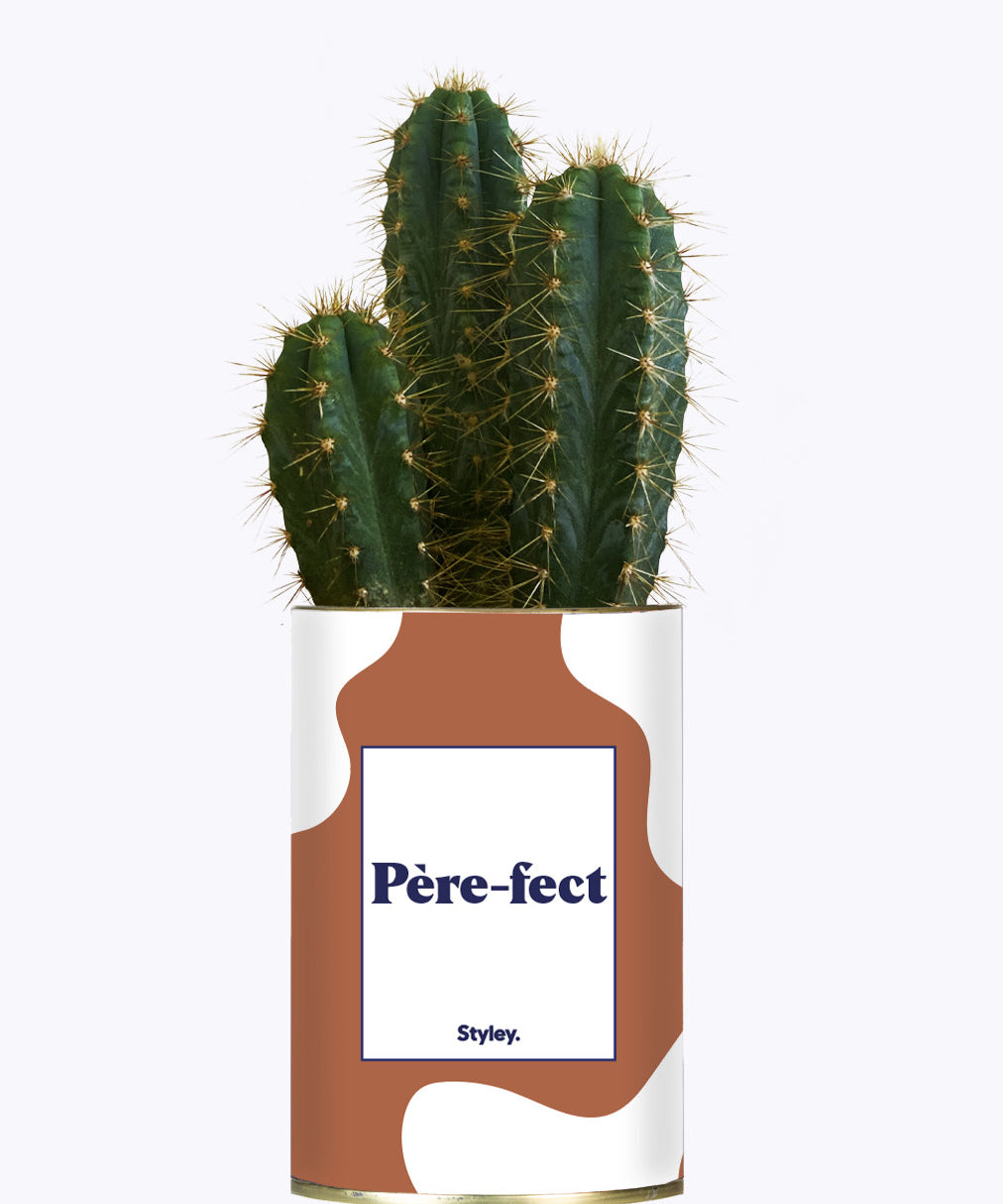 Père-fect - Cactus