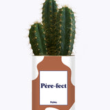 Père-fect - Cactus