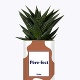 Père-fect - Cactus