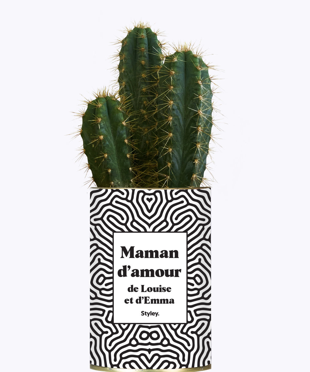 Maman d'amour personnalisable - Cactus