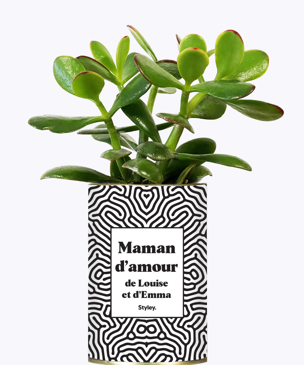 Maman d'amour personnalisable - Cactus