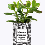 Maman d'amour personnalisable - Cactus