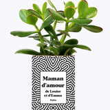 Maman d'amour personnalisable - Cactus