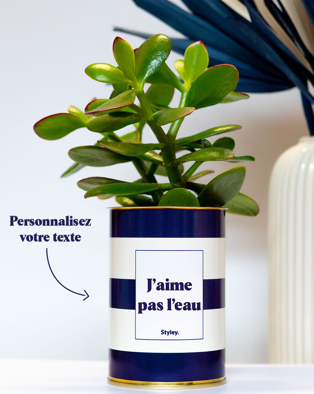 Cactus Cannes - Personnalisable