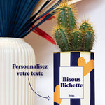 Cactus Côme - Personnalisable