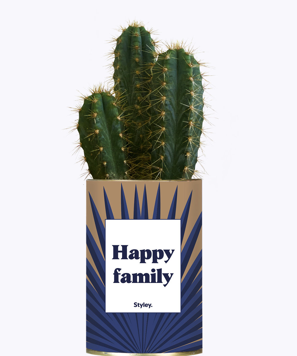 Happy family - Cactus
