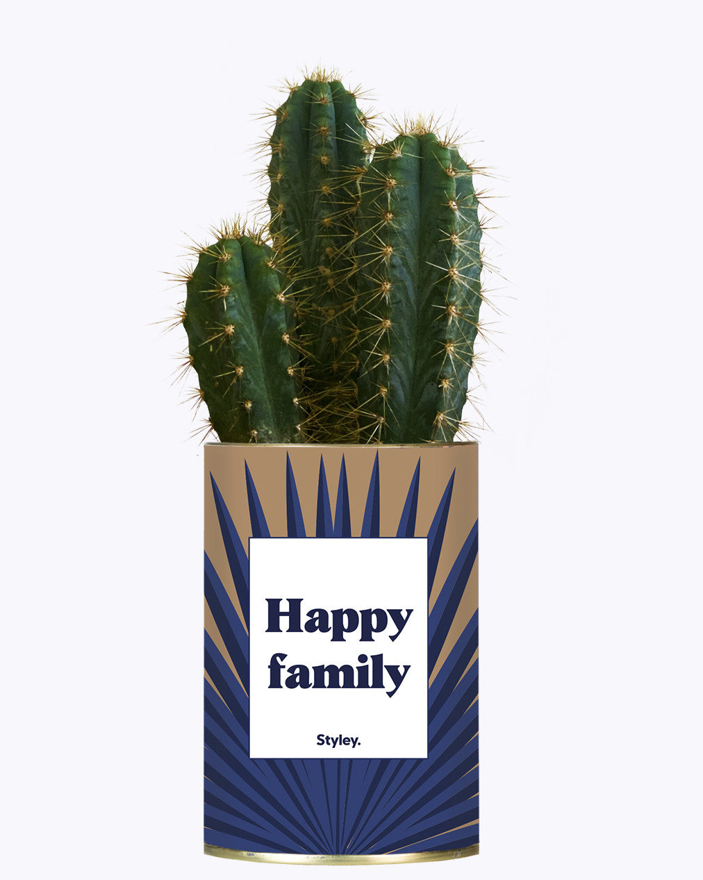 Happy family - Cactus