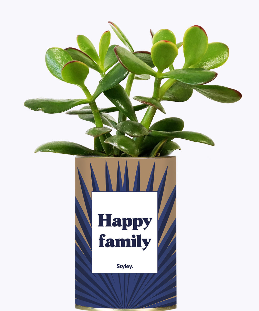 Happy family - Cactus