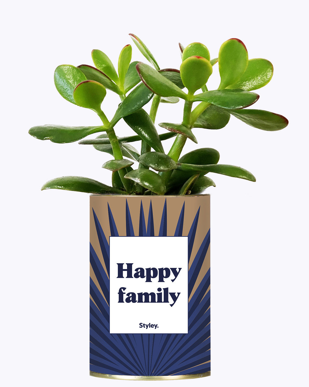 Happy family - Cactus