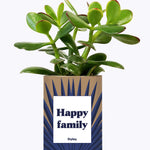 Happy family - Cactus
