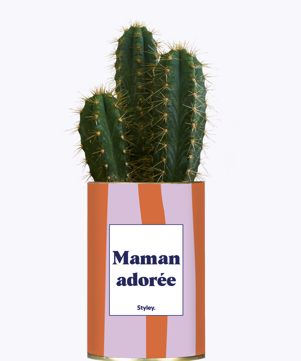 Maman adorée - Cactus