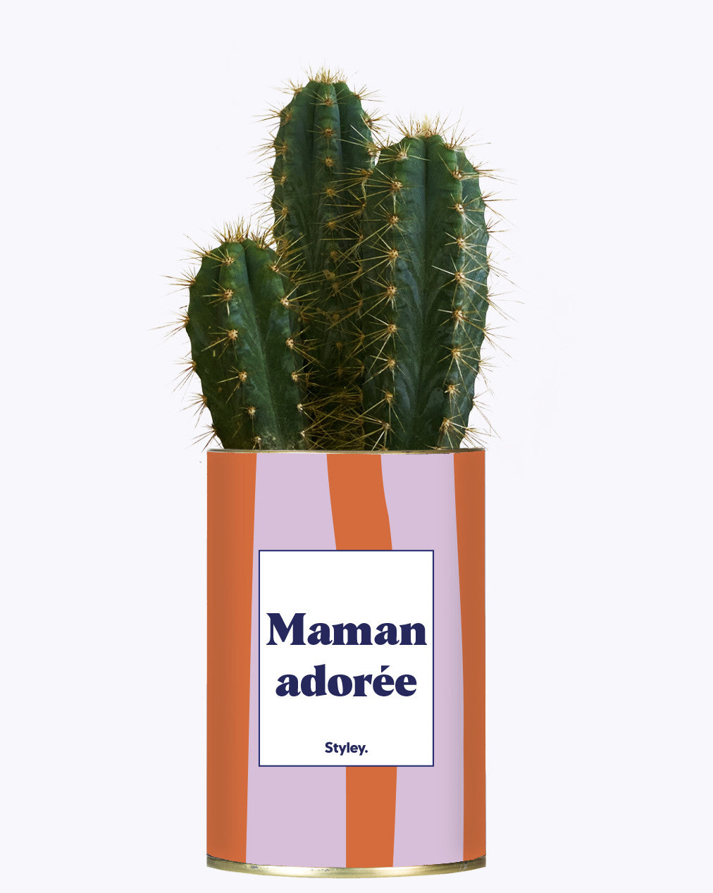 Maman adorée - Cactus