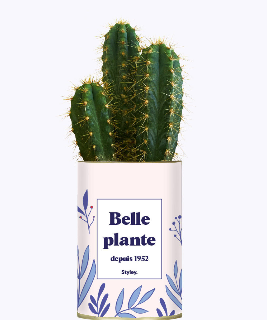 Belle plante personnalisable  - Cactus
