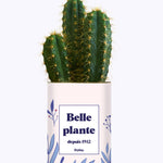Belle plante personnalisable  - Cactus