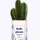 Belle plante personnalisable  - Cactus