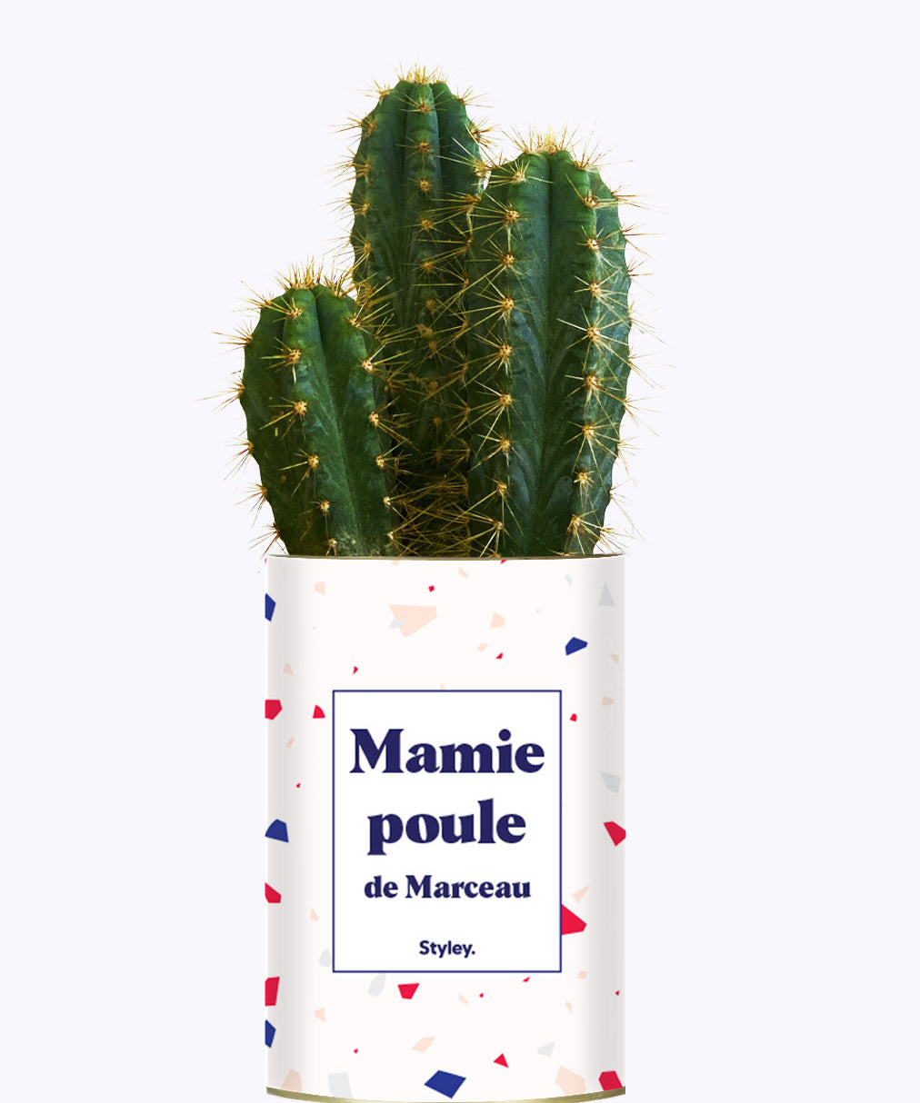 Mamie poule personnalisable  - Cactus
