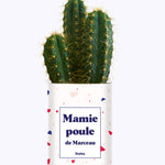 Mamie poule personnalisable  - Cactus