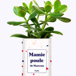Mamie poule personnalisable  - Cactus