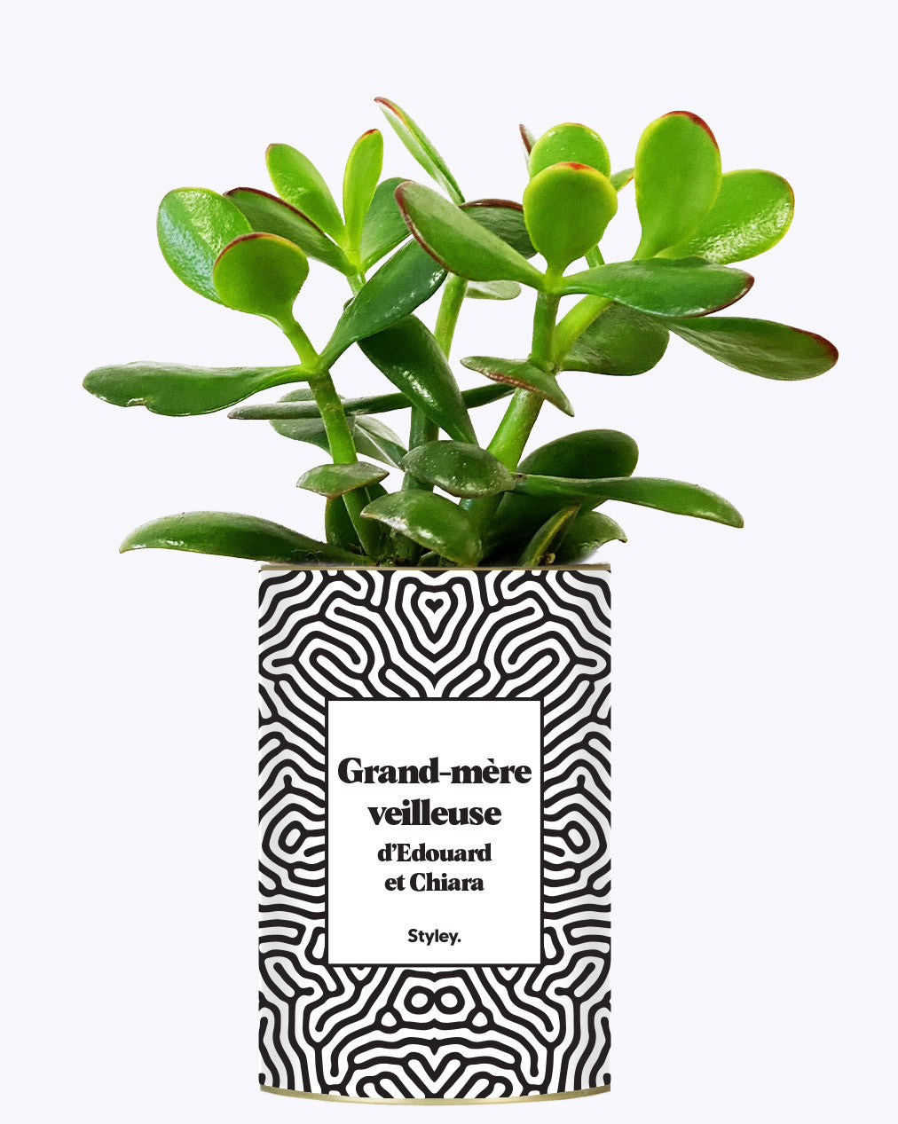 Grand-mère personnalisable  - Cactus