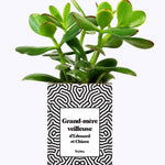 Grand-mère personnalisable  - Cactus