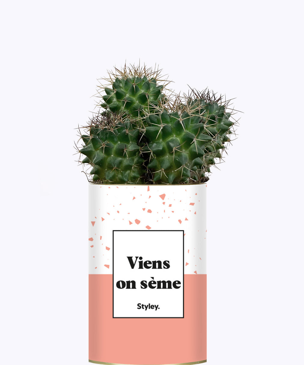 Viens on sème - Cactus