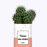 Viens on sème - Cactus